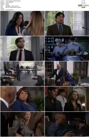 Greys Anatomy S16 DVDRip x264-PFa
