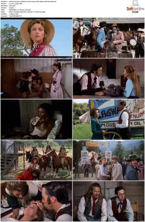 Dr Quinn Medicine Woman S01 MULTi 1080p WEB H264-UKDTV