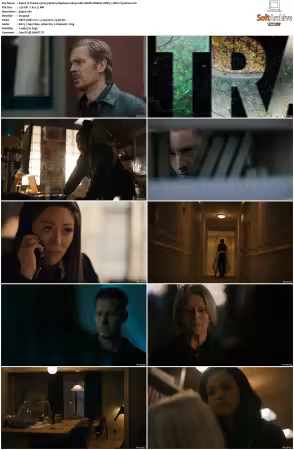 Tracker 2024 S02 2160p AMZN WEB-DL x265 HEVC 10bit DDP 5.1 Vyndros
