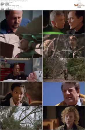 Walker Texas Ranger 1993 S01-S09 1080p WEB-DL H265 10bit DDP2.0-Zero00