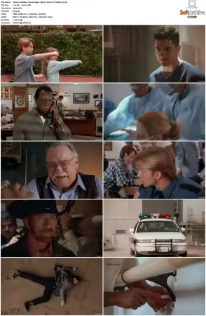 Walker Texas Ranger 1993 S01-S09 1080p WEB-DL H265 10bit DDP2.0-Zero00