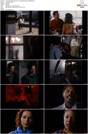 China Beach 1988 S01-S04 1080p H265 AAC 2CH-MNKYDDL