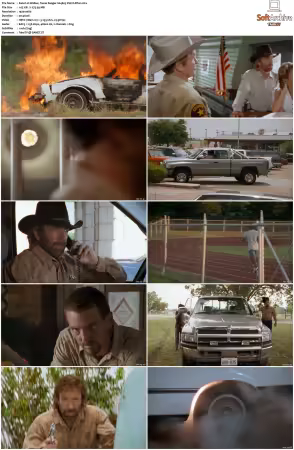 Walker Texas Ranger 1993 S01-S09 1080p WEB-DL H265 10bit DDP2.0-Zero00