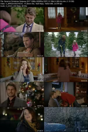 Christmas Getaway 2017 1080p WEBRip DDP 2.0 10bit H265-iVy
