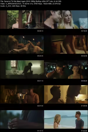 Till We Meet Again 2016 1080p BluRay x264-OFT