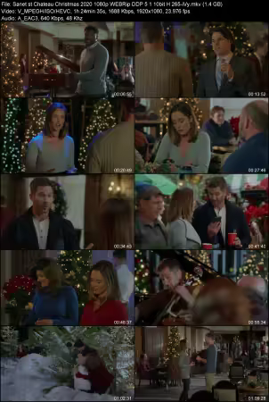 Chateau Christmas 2020 1080p WEBRip DDP 5.1 10bit H265-iVy