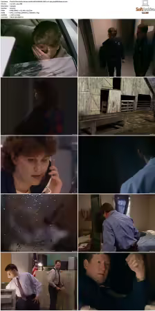 The FBI Files S01 S07 AMZN WEB-DL DDP2.0 H264-playWEB