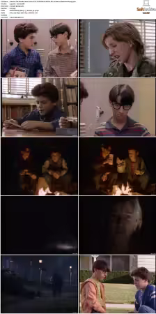 The Wonder Years S01 S06 NTSC DVD REMUX MPEG2 DD 2 0 Homecoming-Rmp4L