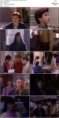 The Wonder Years S01-S06 NTSC DVD REMUX MPEG2 DD 2.0 Homecoming-Rmp4L