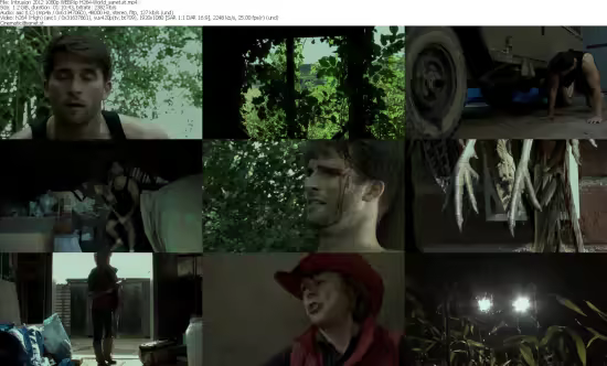 Intrusion 2012 1080p WEBRip H264-World
