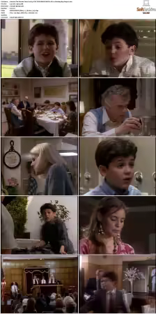 The Wonder Years S01 S06 NTSC DVD REMUX MPEG2 DD 2 0 Homecoming-Rmp4L
