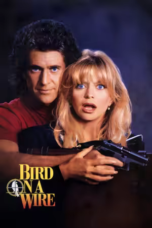 Bird on a Wire 1990 1080p SKST WEB-DL DDP2 H264-DarkAngeL