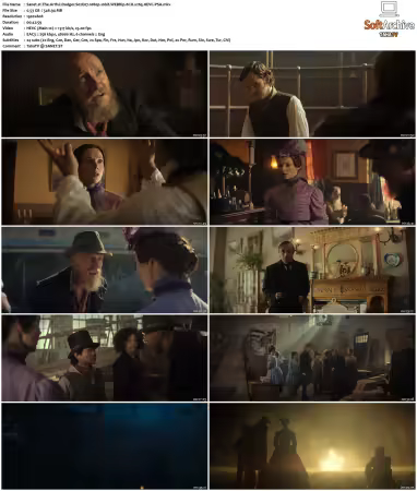 The Artful Dodger S02 1080p 10bit WEBRip 6CH x265 HEVC-PSA