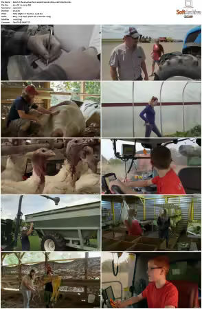 The American Farm S01 1080p WEB-DL DDP2.0 H264-TBS