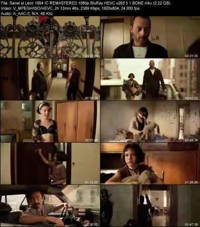 Leon 1994 IC REMASTERED 1080p BluRay HEVC x265 5.1 BONE