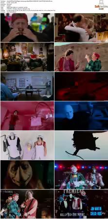 Bill and Teds Bogus Journey 1991 1080p BRRip DV HDR HEVC X265 DTS-PoPCoRnUHD