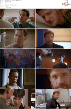 Walker Texas Ranger 1993 S01-S09 1080p WEB-DL H265 10bit DDP2.0-Zero00