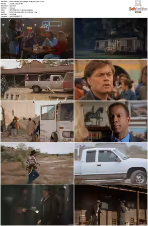 Walker Texas Ranger 1993 S01-S09 1080p WEB-DL H265 10bit DDP2.0-Zero00