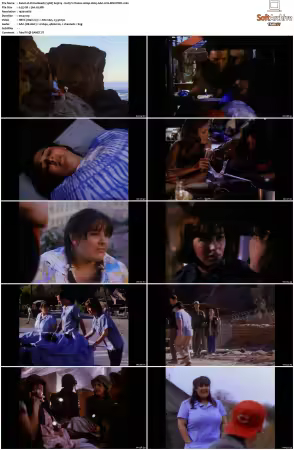 China Beach 1988 S01-S04 1080p H265 AAC 2CH-MNKYDDL