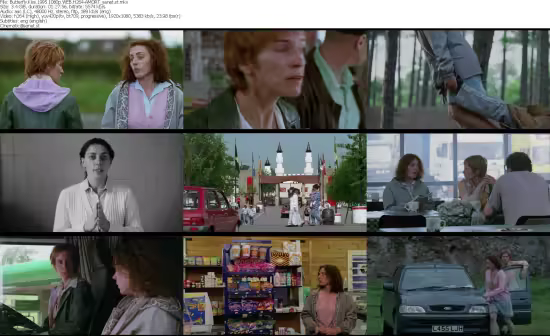 Butterfly Kiss 1995 1080p WEB H264-AMORT