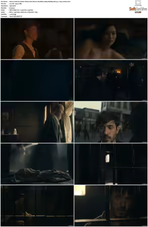 Warrior S01 S03 1080p WebRip EAC3 5.1 x265-Lootera
