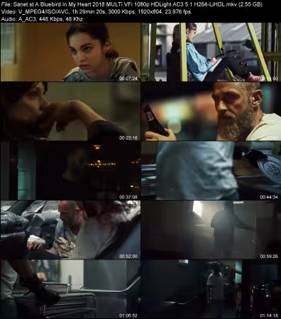 A Bluebird In My Heart 2018 MULTi VFi 1080p HDLight AC3 5.1 H264-LiHDL