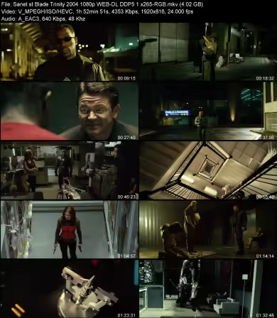 Blade Trinity 2004 1080p WEB-DL DDP 5.1 x265-RGB
