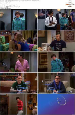 The Big Bang Theory 2007 Season 5 S05 1080p BluRay x265 HEVC 10bit AAC 5.1 Vyndros