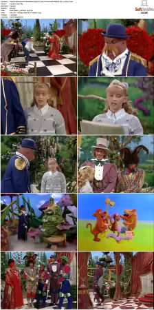 Adventures In Wonderland 1992 S01-S03 480p WEB-DL H264 AAC2.0-cT