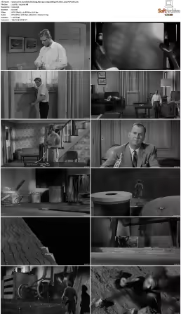 The Incredible Shrinking Man 1957 1080p BDRip DTS HEVC x265-PoPCoRn