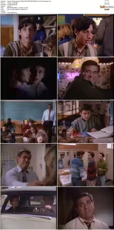 The Wonder Years S01-S06 NTSC DVD REMUX MPEG2 DD 2.0 Homecoming-Rmp4L