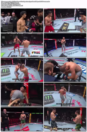 UFC 325 Volkanovski vs Lopes 2 Early Prelims 1080p WEB h264-VERUM