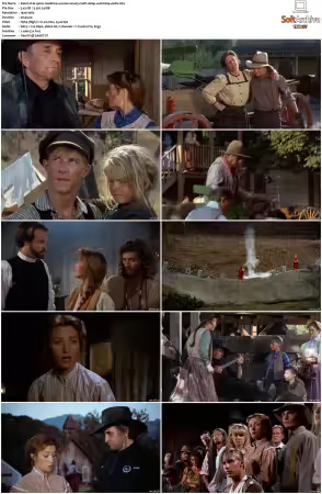 Dr Quinn Medicine Woman S01 MULTi 1080p WEB H264-UKDTV