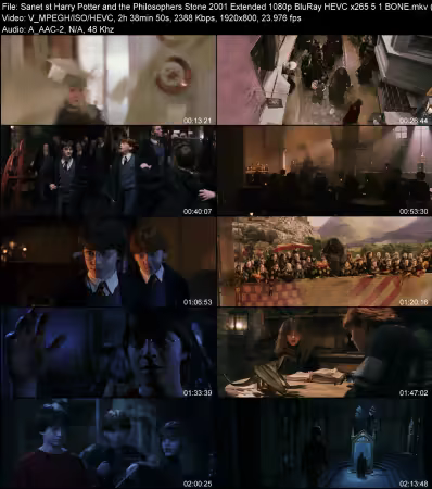 Harry Potter and the Philosophers Stone 2001 Extended 1080p BluRay HEVC x265 5.1 BONE