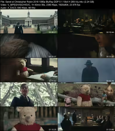 Christopher Robin 2018 1080p BluRay DDP 5.1 10bit H265-iVy