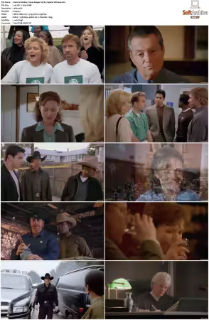 Walker Texas Ranger 1993 S01-S09 1080p WEB-DL H265 10bit DDP2.0-Zero00