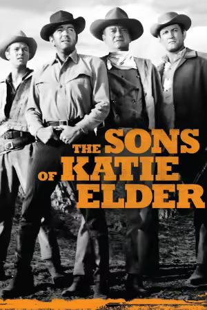 The Sons of Katie Elder 1965 1080p PMTP WEB-DL AAC 2.0 H264-BLOOM