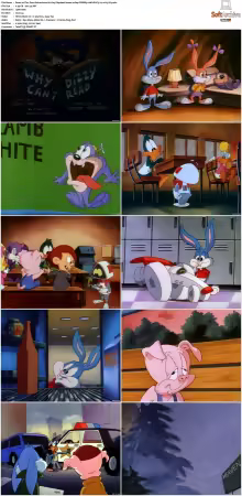 Tiny Toon Adventures 1990 S01-S03 1080p WEBRip 10bit EAC3 2.0 x265-iVy