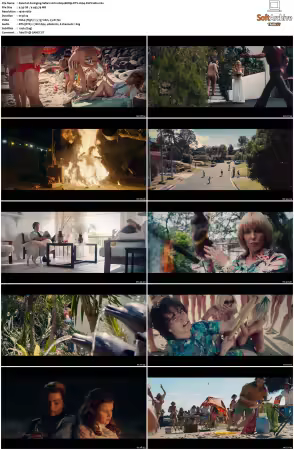 Swinging Safari 2018 1080p BDRip DTS H264-PoPCoRn