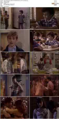 The Wonder Years S01 S06 NTSC DVD REMUX MPEG2 DD 2 0 Homecoming-Rmp4L