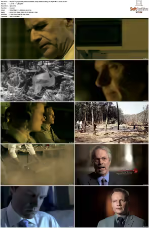 Mayday aka Air Crash Investigation S01-S25 1080p WEB-DL DDP5.1 H264-MIXED