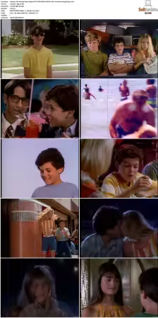 The Wonder Years S01 S06 NTSC DVD REMUX MPEG2 DD 2 0 Homecoming-Rmp4L