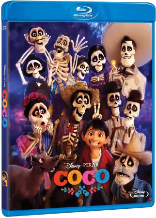 Coco 2017 1080p 10bit 60FPS Bluray x265 Dual Audio Hindi+English DD 5.1 Esub-DUS-