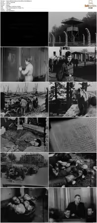 Night And Fog 1956 1080p BluRay x264-RedBlade