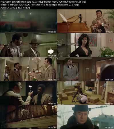 Shafts Big Score 1972 1080p BluRay HEVC x265 BONE