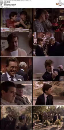 The Wonder Years S01-S06 NTSC DVD REMUX MPEG2 DD 2.0 Homecoming-Rmp4L