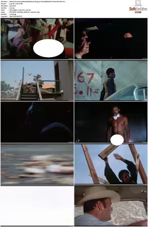Sweet Sweetbacks Baadasssss Song 1971 1080p BDRip DTS H264-PoPCoRn