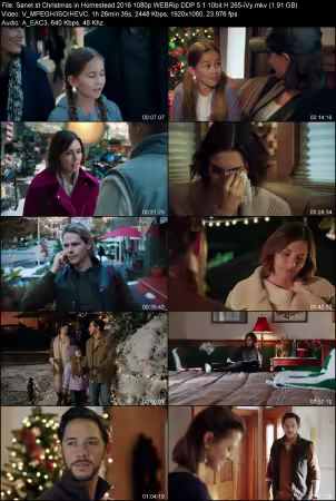 Christmas in Homestead 2016 1080p WEBRip DDP 5.1 10bit H265-iVy