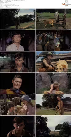 Old Yeller 1957 1080p BDRip DTS HEVC x265-PoPCoRn