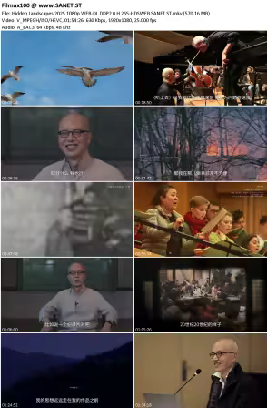 Hidden Landscapes 2025 1080p WEB-DL DDP2.0 H265-HDSWEB